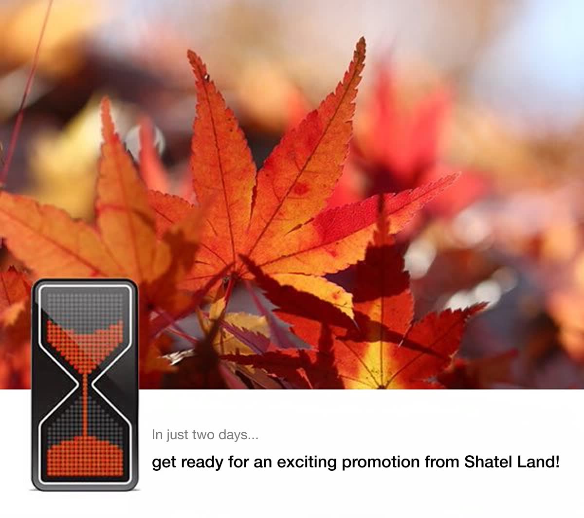 Shatel Land teaser: In just two days… with autumn maple leaves.