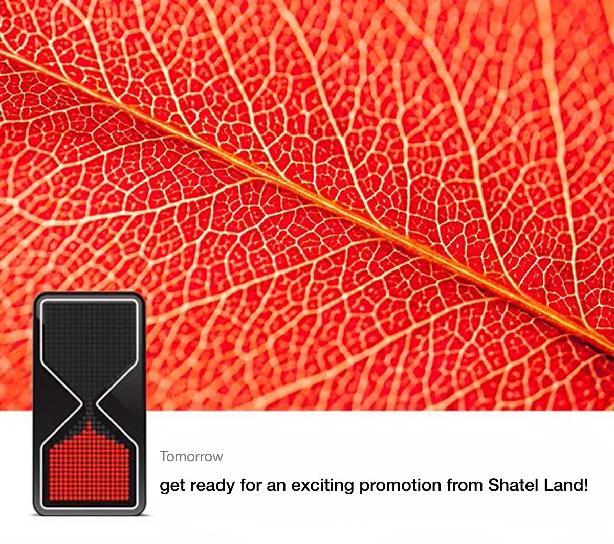 Shatel Land teaser: Tomorrow… with a red leaf and a nearly empty hourglass.