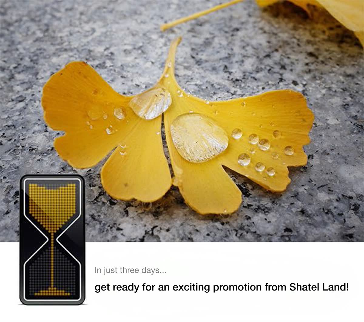Shatel Land teaser: yellow ginkgo leaf and a pixel hourglass, three days out.